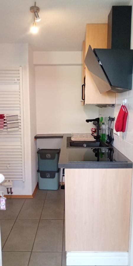 Ferienwohnung In Grenzach Экстерьер фото