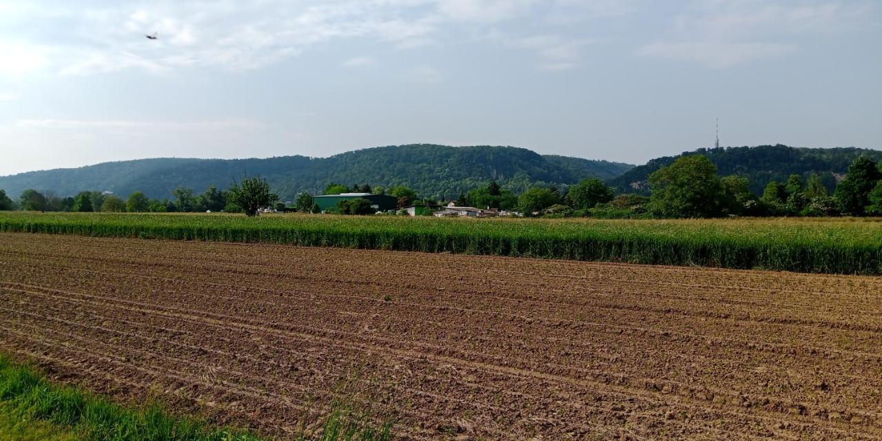 Ferienwohnung In Grenzach Экстерьер фото