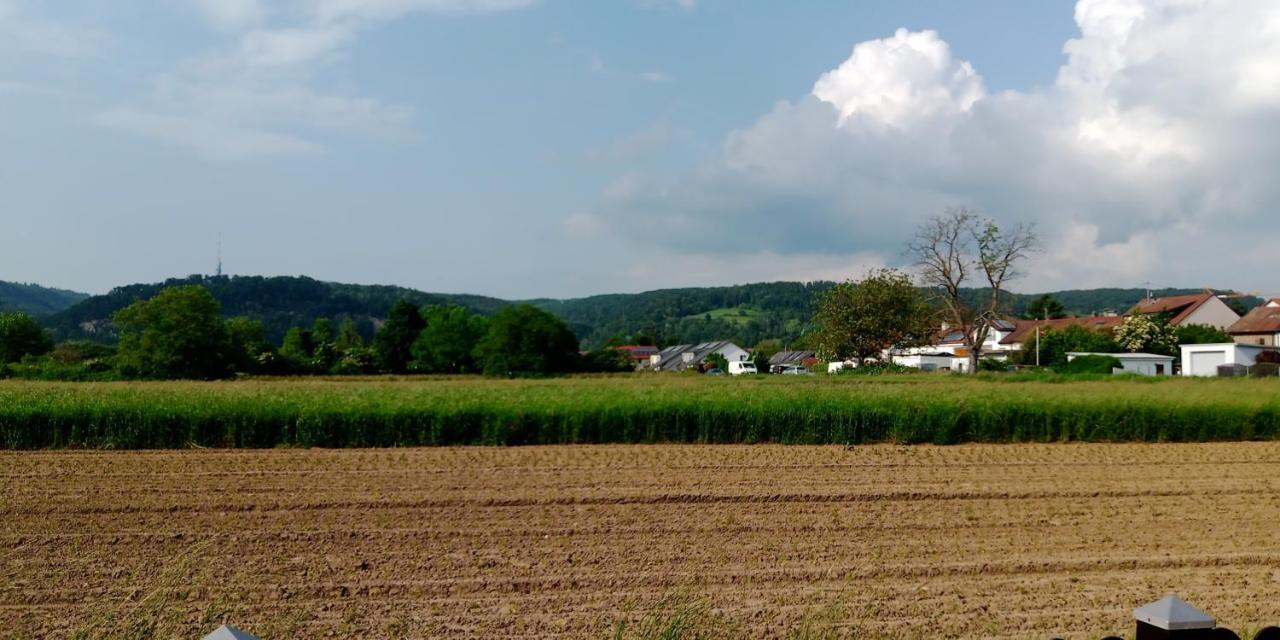 Ferienwohnung In Grenzach Экстерьер фото